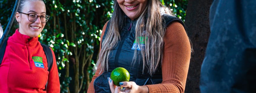 Traditions agricoles et saveurs locales sur l'île de Flores