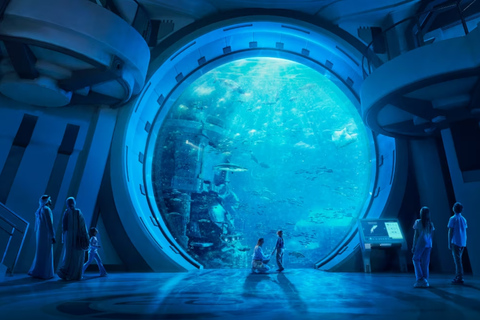 Dubai: Ferrari World Abu Dhabi With Entry Ticket & Transfer Dubai: SeaWorld Abu Dhabi With Entry Ticket & Transfer