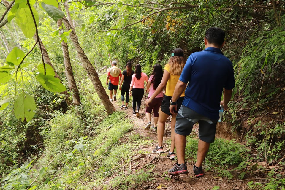 From Puerto Vallarta: Hiking to Vallarta Botanical Garden | GetYourGuide