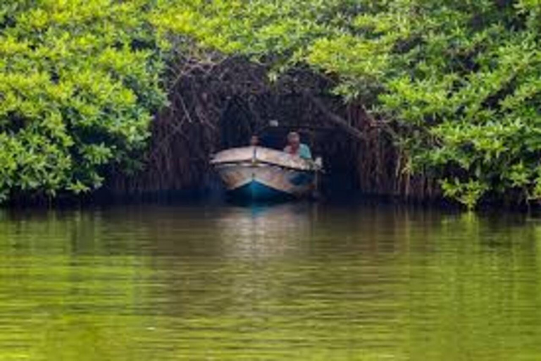 EXCURSIÓN DE UN DÍA A BENTOTA EN TUKTUK (PRIVADO)