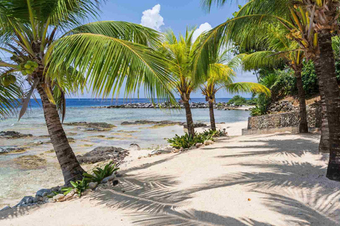 Puerto Plata: Taino Bay Beach Club med transfer och buffé