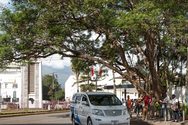 Arusha : Maasai Market Guided Tour