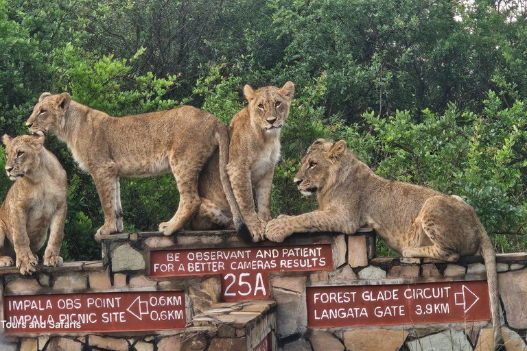 Nairobi National Park Safari 4x4 Car–Personalized Experience Shared Guided Game Open roofed 4x4 Van