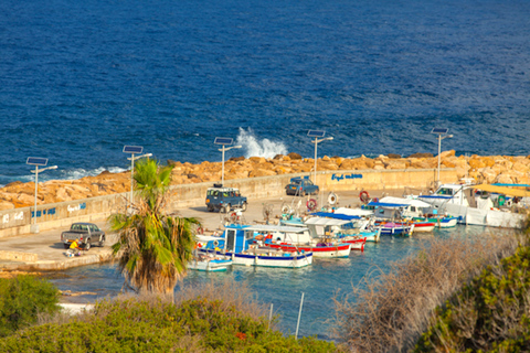 Gola di Avakas e spiaggia di Lara: avventura in minibus da PafosGola di Avakas e nuotata a Lara Beach: avventura in minibus da Pafos