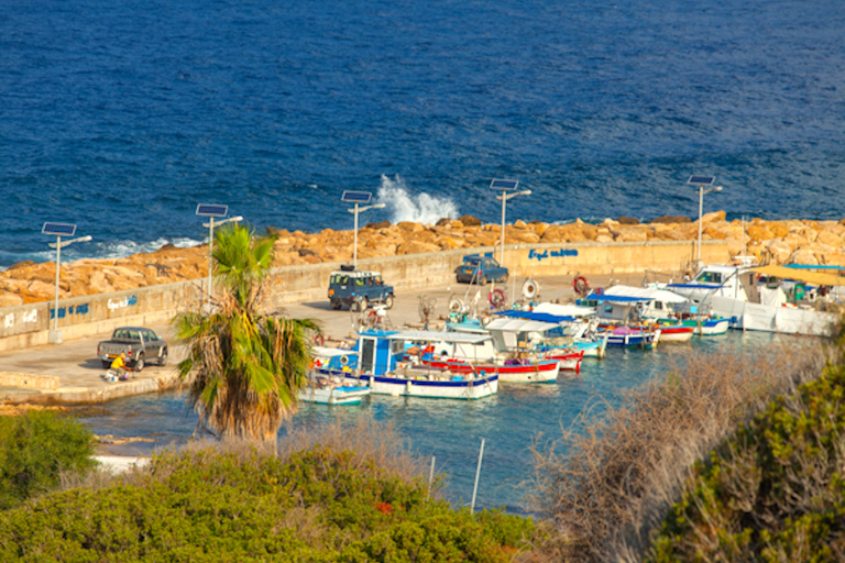 Gola di Avakas e spiaggia di Lara: avventura in minibus da PafosGola di Avakas e nuotata a Lara Beach: avventura in minibus da Pafos