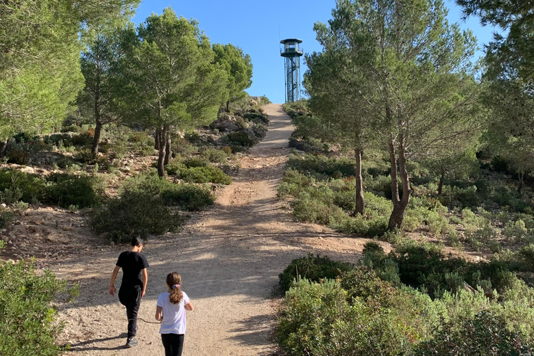 Expérience de la randonnée dans la Sierra de TramuntanaSierra de Tramuntana - randonnée hivernale