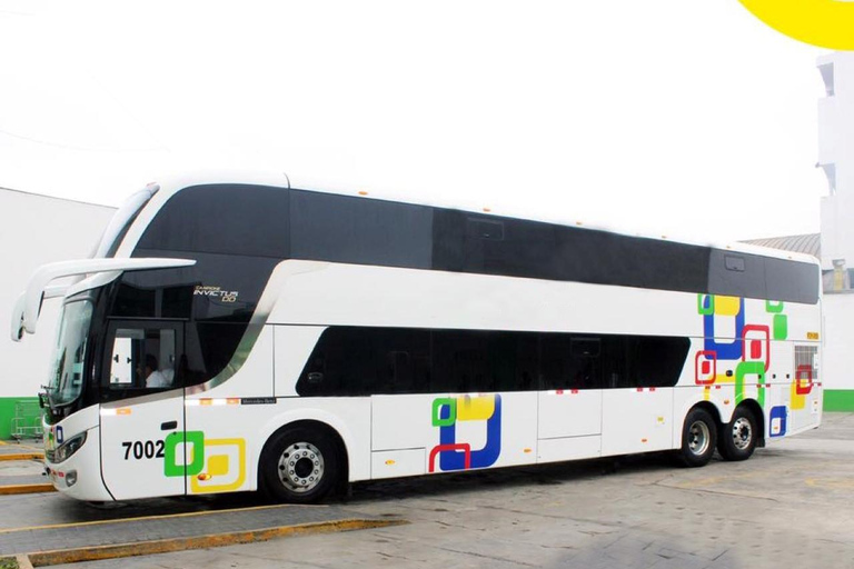 Da Cusco: autobus diretto per Puerto Maldonado Bus Cama 160°.