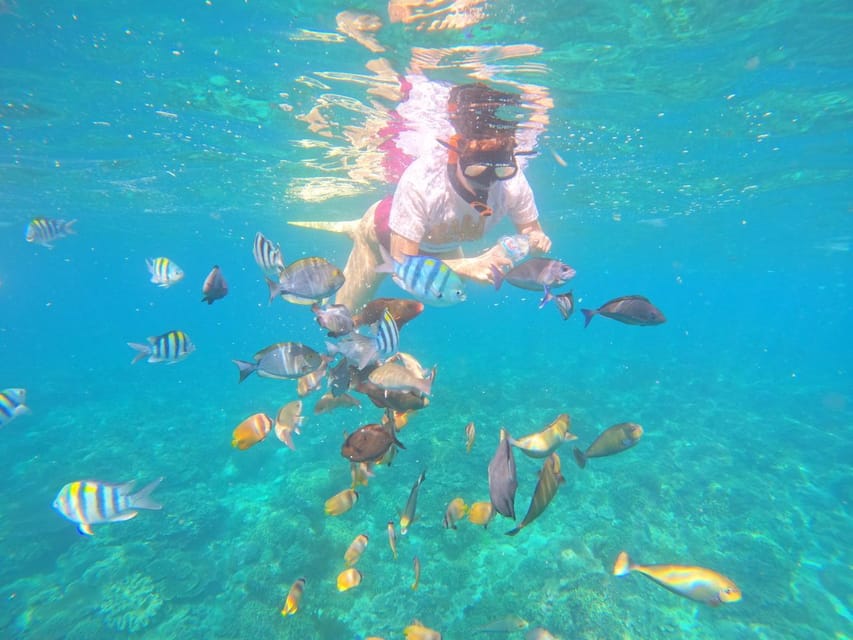 Bali: Blue Lagon Snorkeling & Waterfall Tour | GetYourGuide