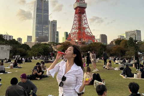 Tokyo City Must See Highlights Full Adjustable Itinerary