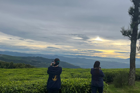 2 dagars schimpansvandring och övernattning @ Nyungwe Rainforest