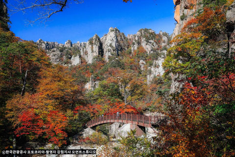 Seoul: Seorak Mountain+Nami Island+Eobi Ice Valley Tour Group Tour, departing from Hongik Univ. Station