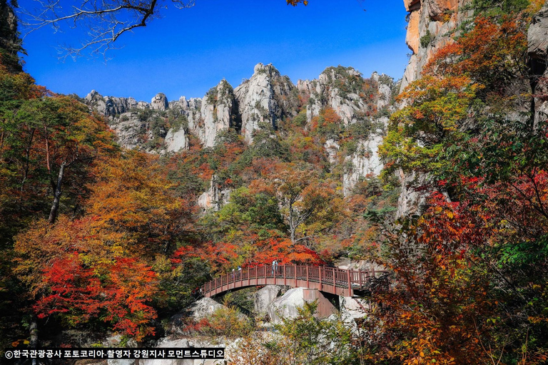 Seoul: Seorak Mountain+Nami Island+Eobi Ice Valley Tour Group Tour, departing from Hongik Univ. Station