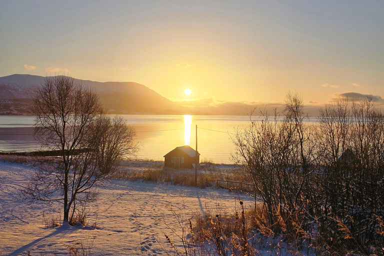 From Tromsø: Arctic Wildlife & Fjord Sightseeing Tour by Car From Tromsø: Arctic Fjord and Wildlife Tour by Car