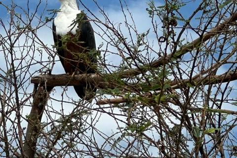 Arba Minch: Dorze Village &amp; Lake Chamo Boot &amp; Tuk Tuk Tour