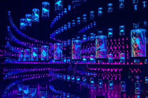 Dubai: Museum of the Future Tour in SUV with Entry Tickets