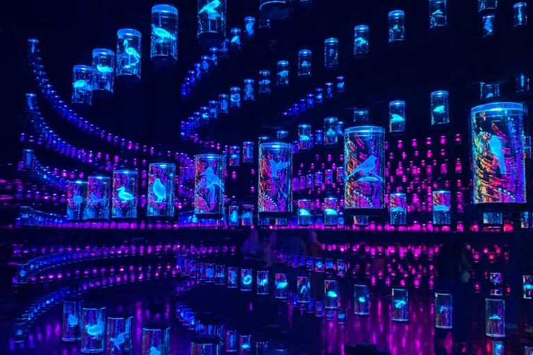 Dubai: Museum of the Future Tour in SUV with Entry Tickets