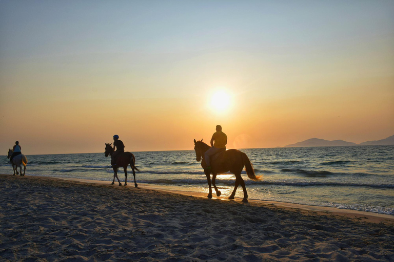 Aruba: Sunrise or Sunset Horseback Ride by the Coast