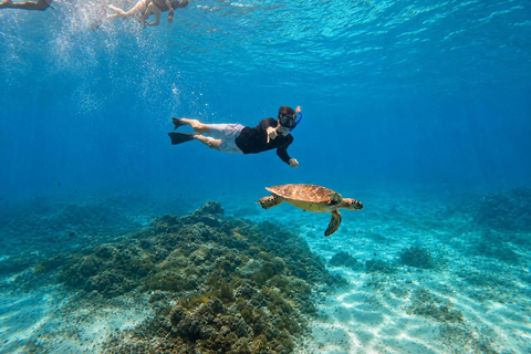 Nusa Lembongan Manta Snorkeling Trip, Mangrove & Island Tour Sharing 3 Spots Snorkeling & Mangrove Advanture