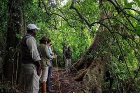 Von Arusha: Napuru-Wasserfall und Duluti-See mit FührungVon Arusha: Führung zu den Napuru-Wasserfällen und zum Duluti-See