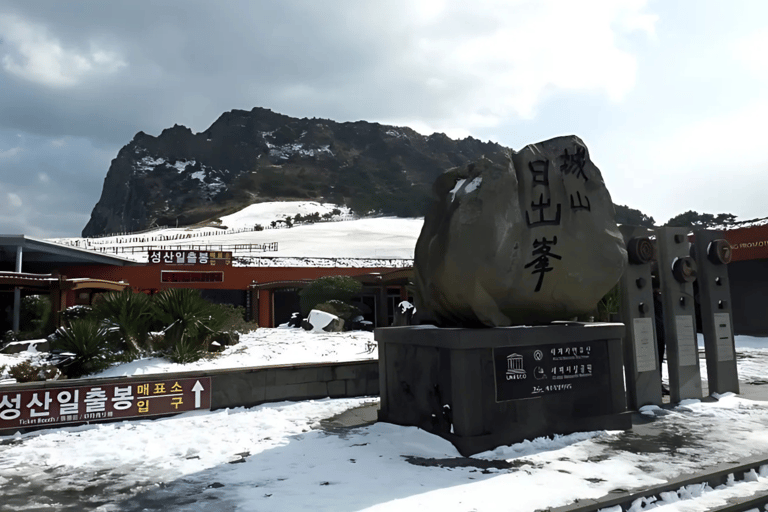 Jeju: Winter East Snow, Camellia, Tangerine Picking Tour