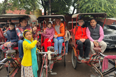 德里：新旧德里私人一日游或半日游新德里半日游