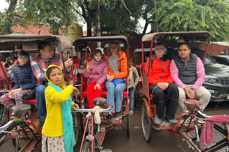 Delhi: Private Tagestour oder Halbtagestour durch Alt- und Neu-DelhiHalbtägige Tour durch das alte Delhi