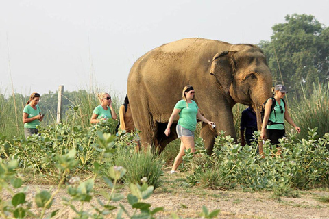 From Delhi: Taj Mahal with Photographer & Elephant SOS Tour From Delhi: Taj Mahal with Photographer & SOS (All Included)