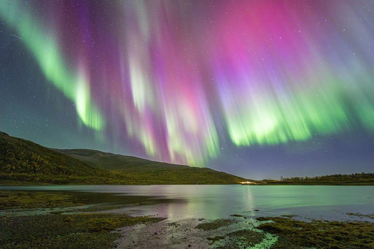 Tromsø: Northern Lights Hunt with Photos and Hot Food