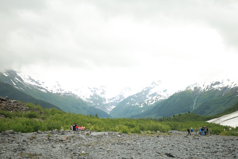 Seward to Anchorage Scenic Tour with Airport drop-off