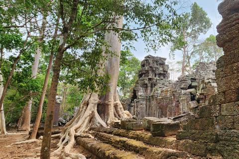 From Siem Reap: 3-Day Angkor Wat Sunrise & Battambang Tour