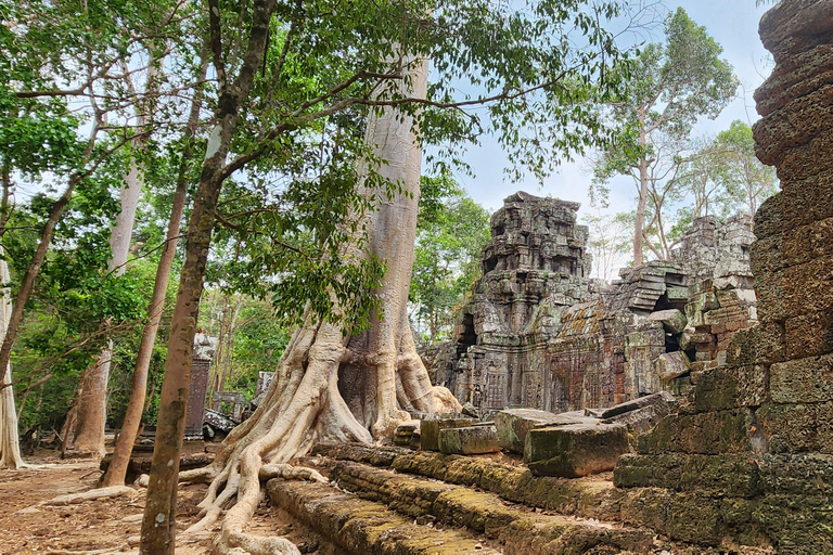 From Siem Reap: 3-Day Angkor Wat Sunrise & Battambang Tour