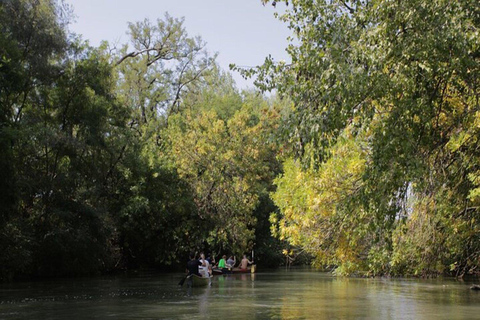 Bratislava: Danube River Rafting Experience