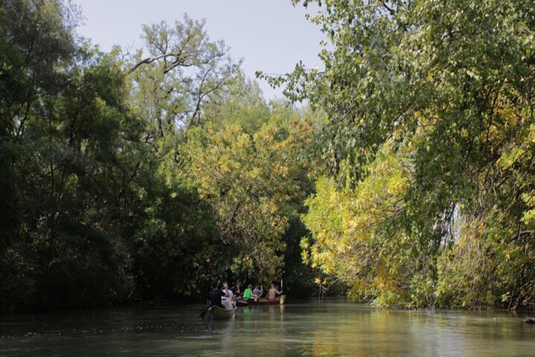 Bratislava: Danube River Rafting Experience