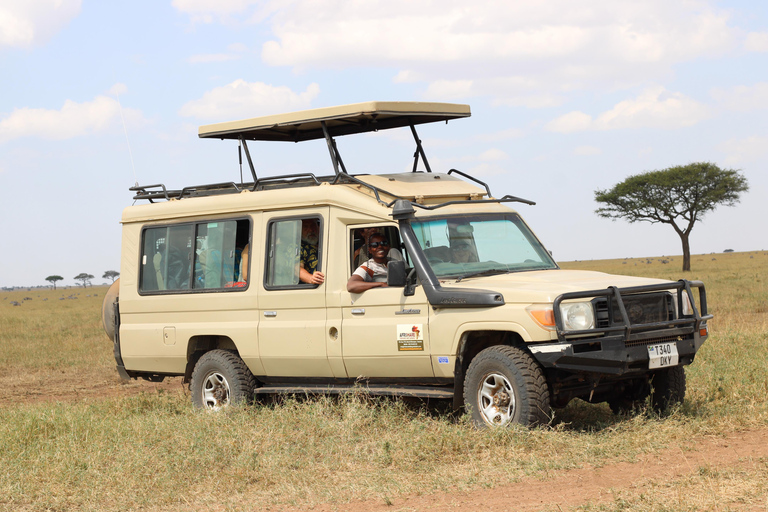 Moshi: 2-Day Safari to Tarangire Park and Ngorongoro Crater