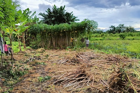 Excursión de un día completo al Rastreador y Pueblo Baduy de Yakarta