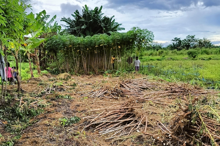 Von Jakarta aus: Tagestour zum Baduy-Stamm mit Mittagessen