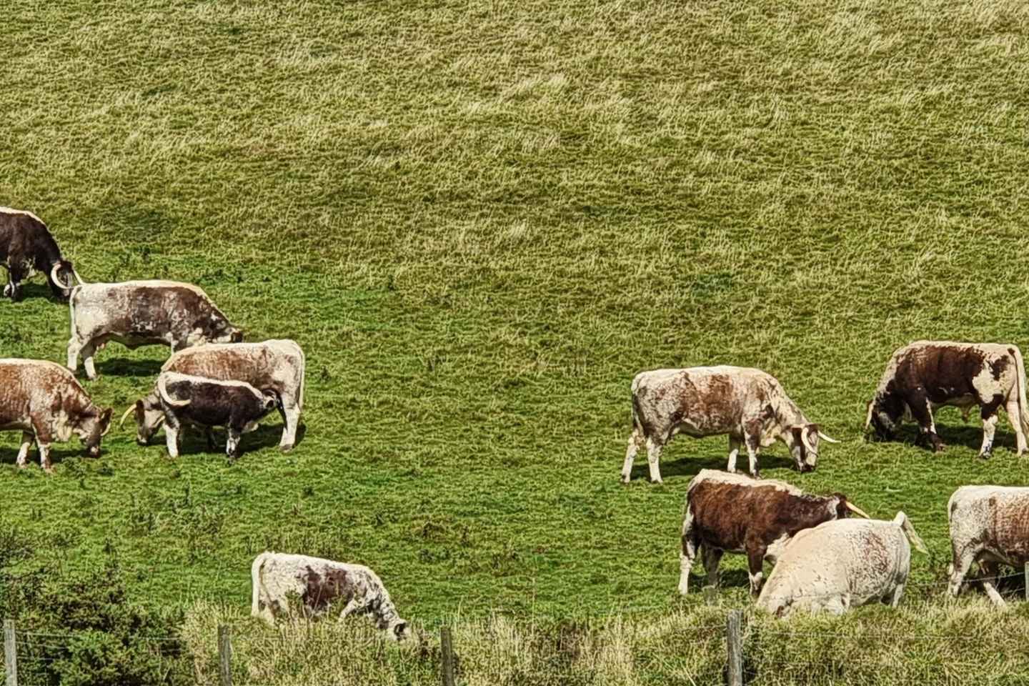 Кардифф: Поход к водопадам Брекон-Биконс