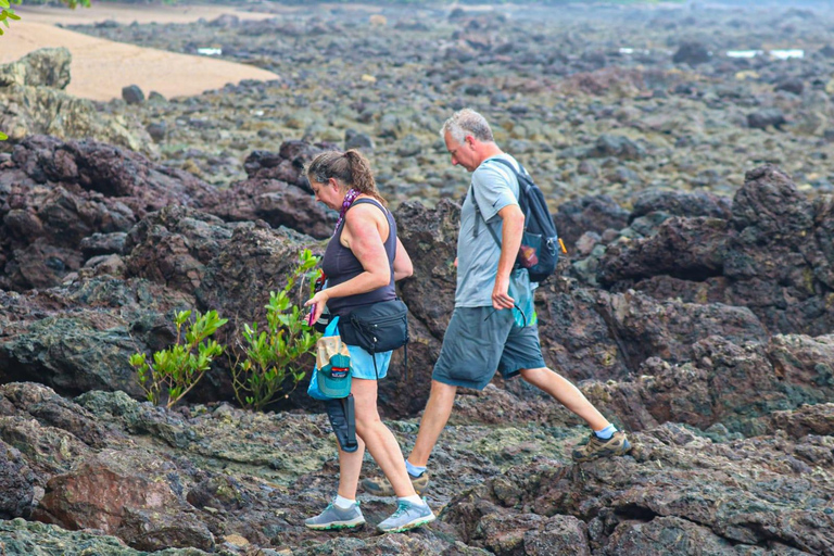 Uvita: Corcovado Rainforest & Wildlife Adventure
