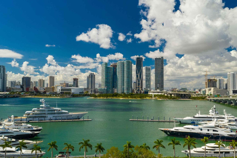 Tour en barco por el horizonte de Miami - Vistas de los muelles de la Bahía de Biscayne