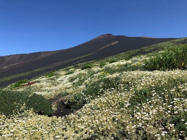 Etna: Sunset 4x4 Tour with 'Aperidolce' and Volcanic Cave