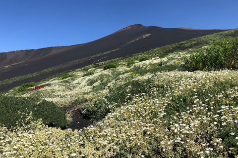 Mt. Etna: Morning 4x4 Tour with Volcanic Cave and Traditional Tasting