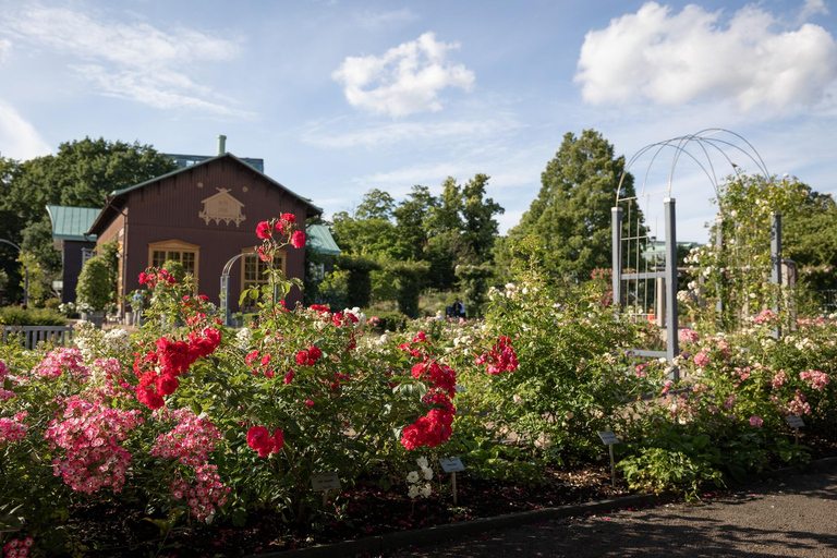 Göteborg: spacer z przewodnikiem po głównych zabytkachGöteborg: Wycieczka piesza z przewodnikiem po głównych zabytkach