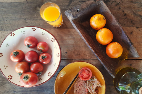Serra de Tramuntana, Fornalutx: The olive tree: culture, cultivation, tasting.