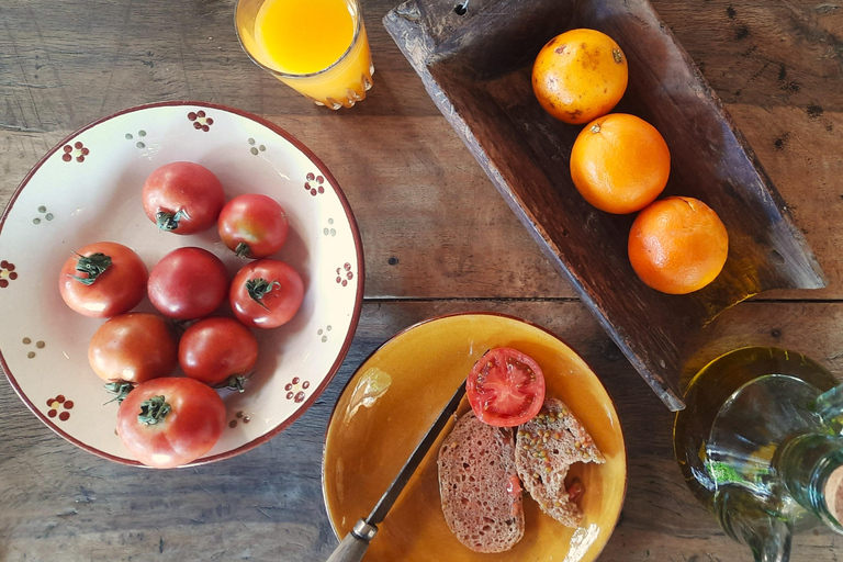 Serra de Tramuntana, Fornalutx: The olive tree: culture, cultivation, tasting.