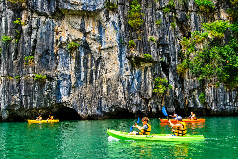 Hanoi: Ha Long Bay Scenic Day Cruise, Cave, Kayak & Titop Hanoi Pickup - Standard Cruise - Set Menu Lunch