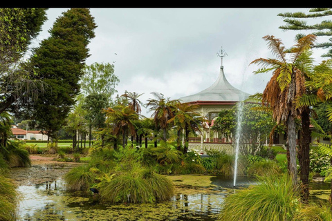 From Auckland: Rotorua Lakes, Redwood & Geothermal Day Trip