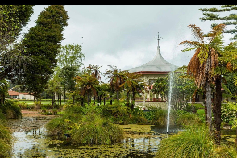 From Auckland: Rotorua Lakes, Redwood & Geothermal Day Trip