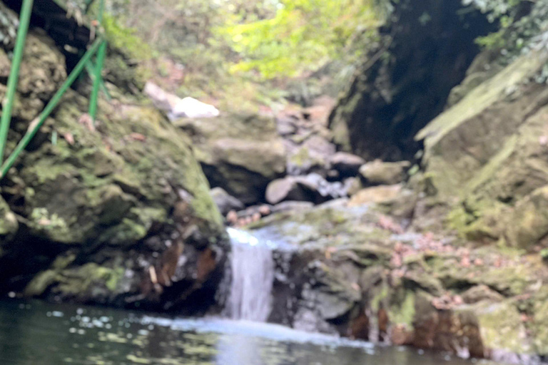 Von Hue aus: Bach Ma National Park Tour mit Picknick Mittagessen