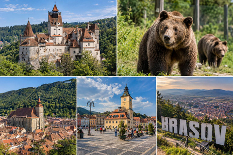 Bucharest: Dracula Castle, Bear Sanctuary & Medieval Brasov Entrance tickets: Dracula, Bear Sanctuary and Brasov