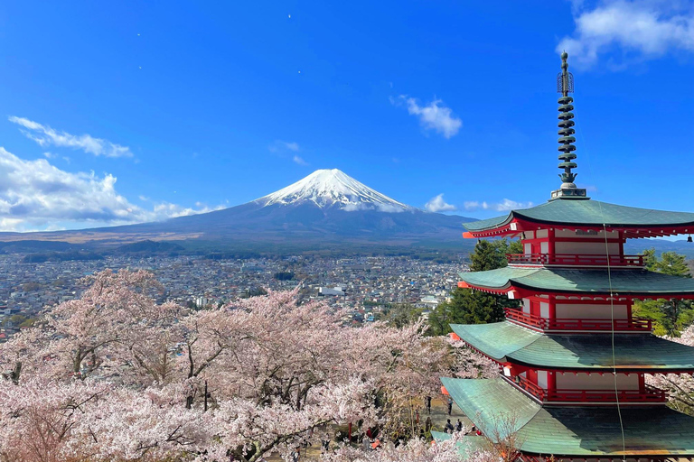 Tokyo: Mt Fuji, Lake Cruise and Noodles Making Experience Spectacular Fuji: Nature & Local Flavors